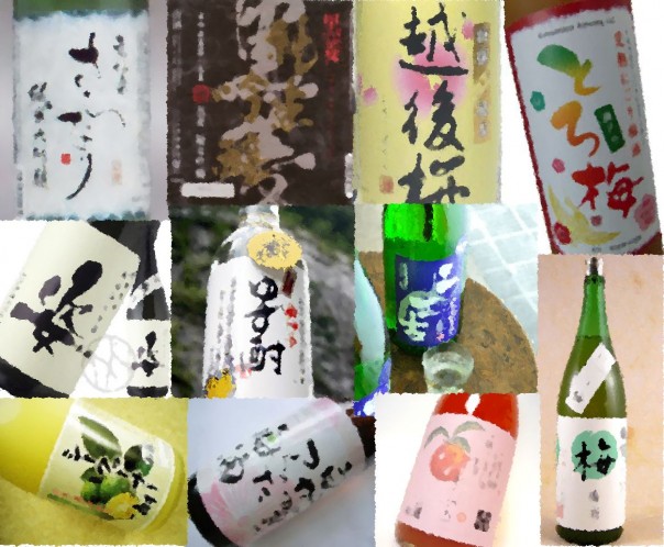 日本酒果実酒_加工
