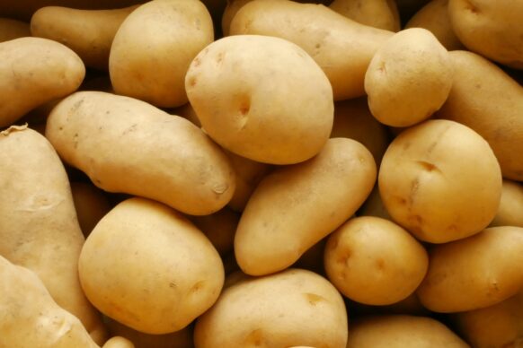 🥔突発フード企画★ポテト好き集まれ🥔【2025年10月2日(木)19時オープン】『コガミホ & りん の ポテトフェア in コミュニティーBar』当店スタッフ コガミホ ＆ 凛が メークインをふんだんに使ったポテトメニューをご提供致します🥔