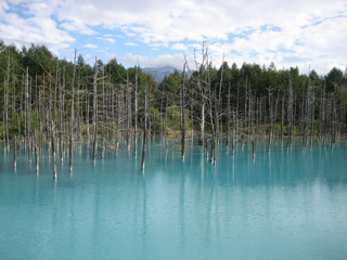summer11b