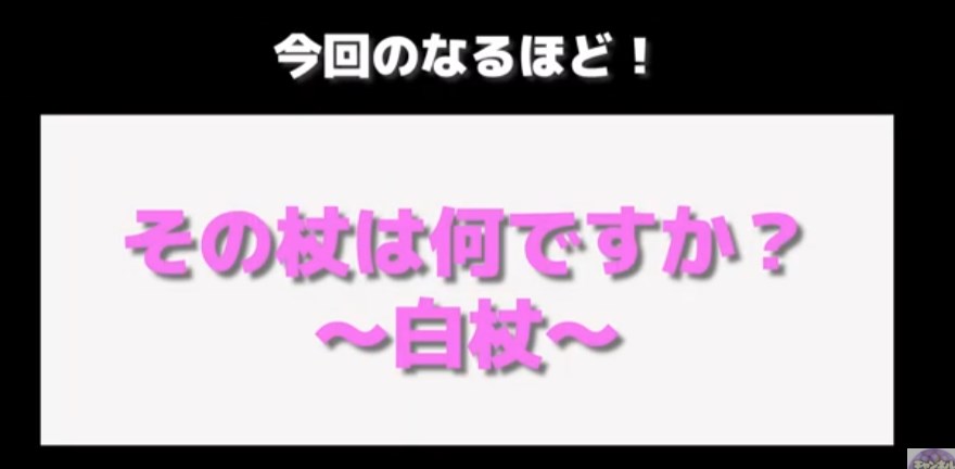 【障害理解】その杖何ですか？～白杖～