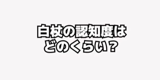 【障害当事者の本音】白杖あるある～こずえの裏話！～